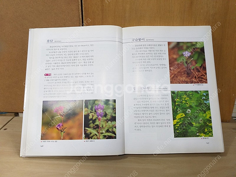 *산야초식물도감-한권으로보는우리풀--1